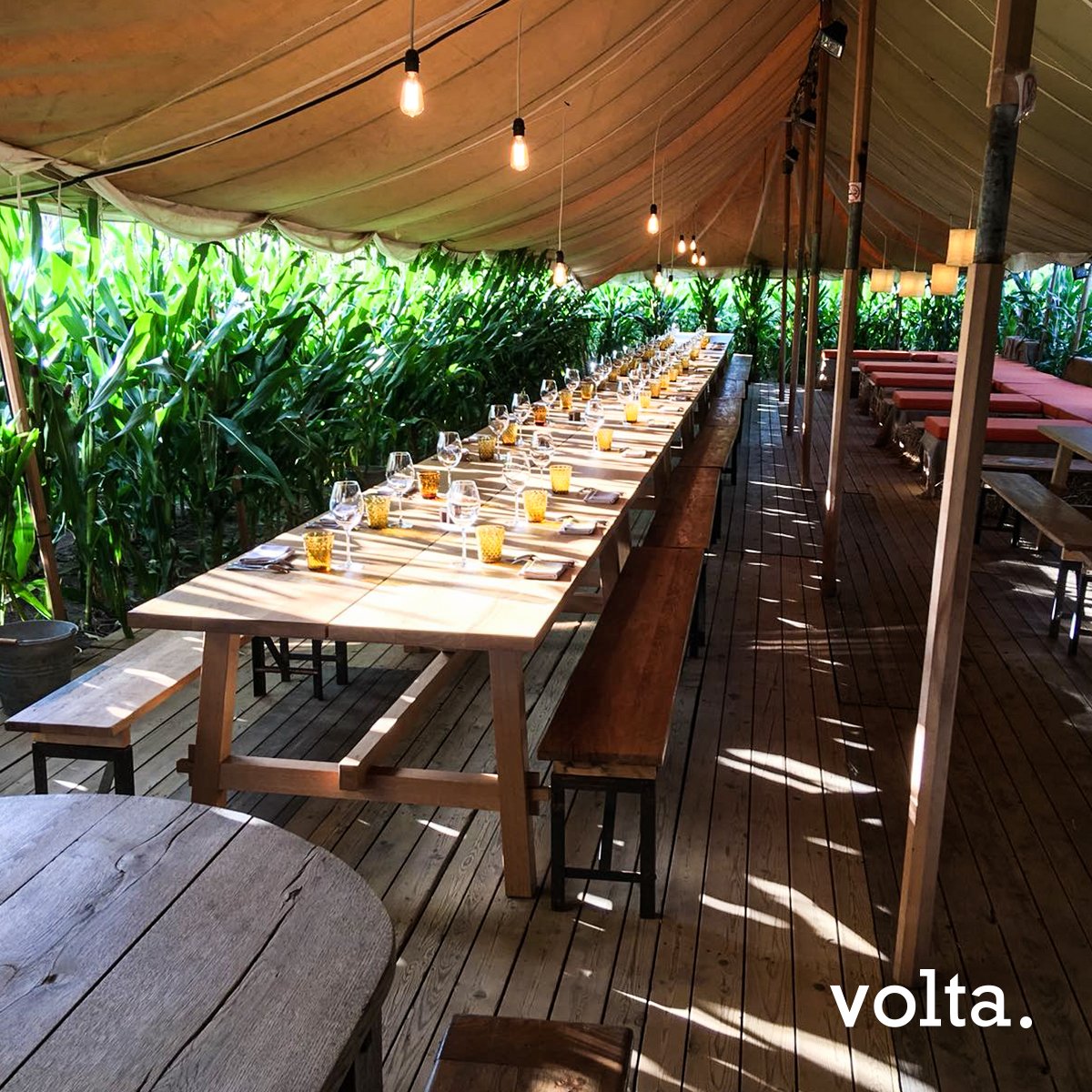 Volta Gent tweet media