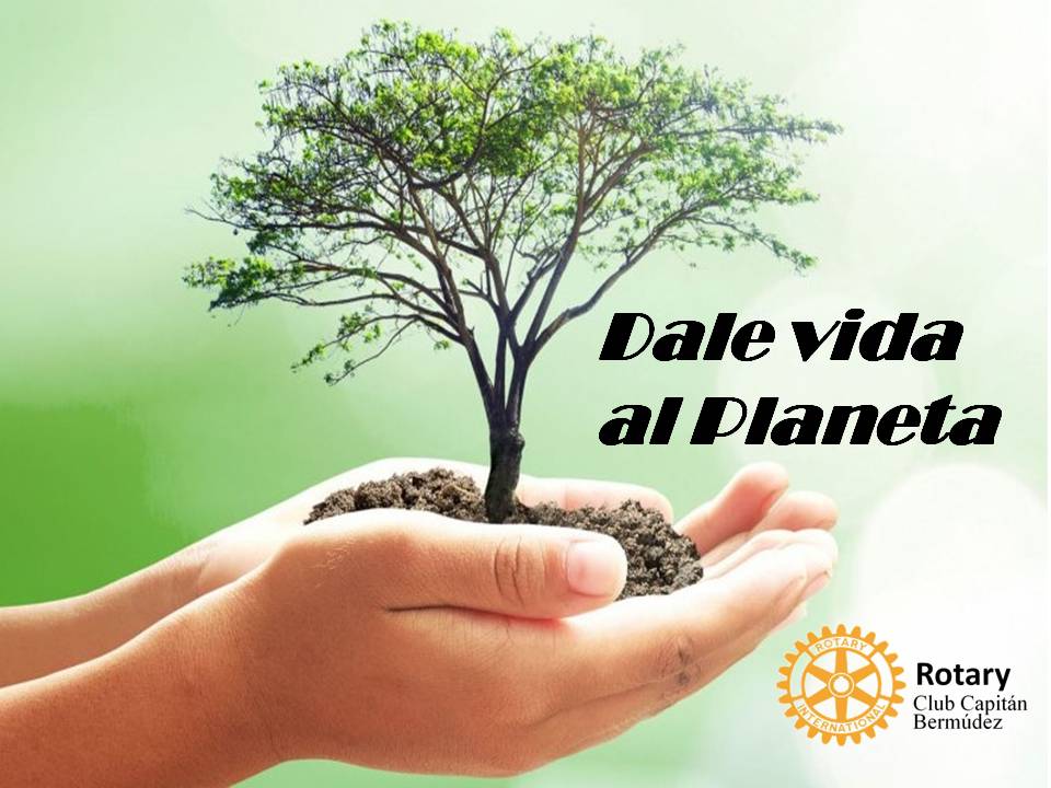 CapitanRotary's tweet image. Los árboles son fuentes de vida y es ahí donde el hombre haciendo uso de su explotación para alimentarse, vestirse, tener combustible, construir viviendas, papel, muebles y otros bienes materiales para el desarrollo en la sociedad, está dejando al planeta sin estos pulmones.