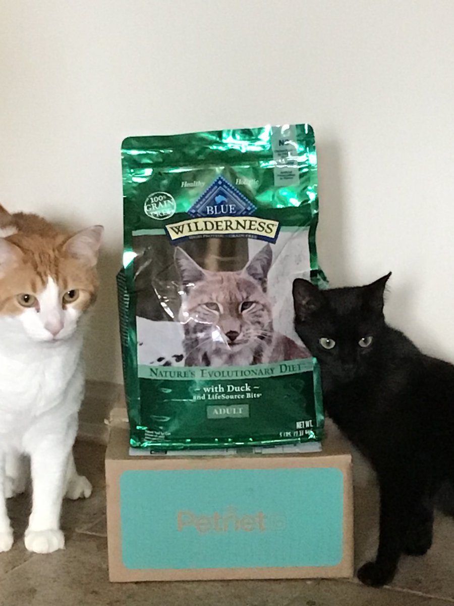 Just received my first bag from <a href="/Petnetio/">Petnet</a> #smartdelivery and two of the cats, Thomas and Maze, wanted to let everyone know how excited they are to get there new cat food.