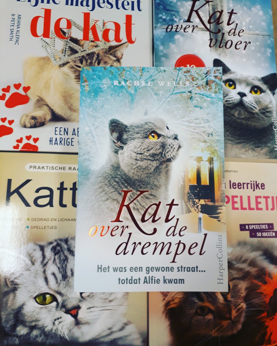 Een fijne internationale kattendag voor: Poekie, Peggy, Milly, Bikkel, Beessie, Jet, Minoes, Moshi, Wobje, Kathy, Ben, Nijn, Noortje, Harry, Moby, Pluis, Smiegel, Boris, Gabor, Franklin, Joep, Pietsie, Toellie, en alle andere poezenbeesten.