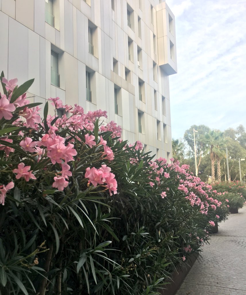 Bar Local tweet media