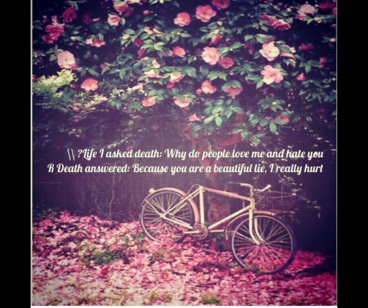 Heba (@heba86065831) on Twitter photo 