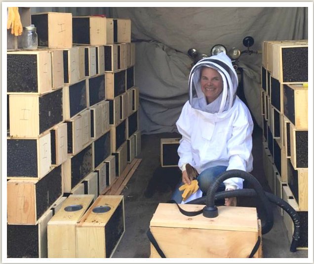 Thinking of raising #bees? Check out these tips for backyard #beekeeping with Karla DeLong.  bit.ly/298SvzE