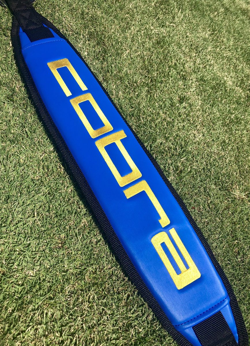 cobragolfuk's tweet photo. We saved the best looking bag for the last major of the year. WIN one of these special edition #PGAChamp inspired stand bags. Make sure you follow, RT & let us know how many birdies @b_dechambeau will have this week at the #PGAChamp using #BAD & the number of birdies. Eg #BAD9 https://t.co/zfwDEX5qu2