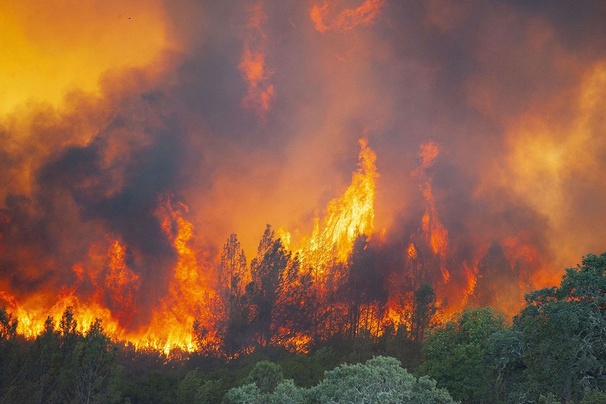 California's worst wildfire in history is now the size of Los Angeles: buff.ly/2OTI48Y

This is what #climatechange looks like.

#ActOnClimate #climate #energy #cdnpoli #NoTMX #NoKXL #KeepItInTheGround