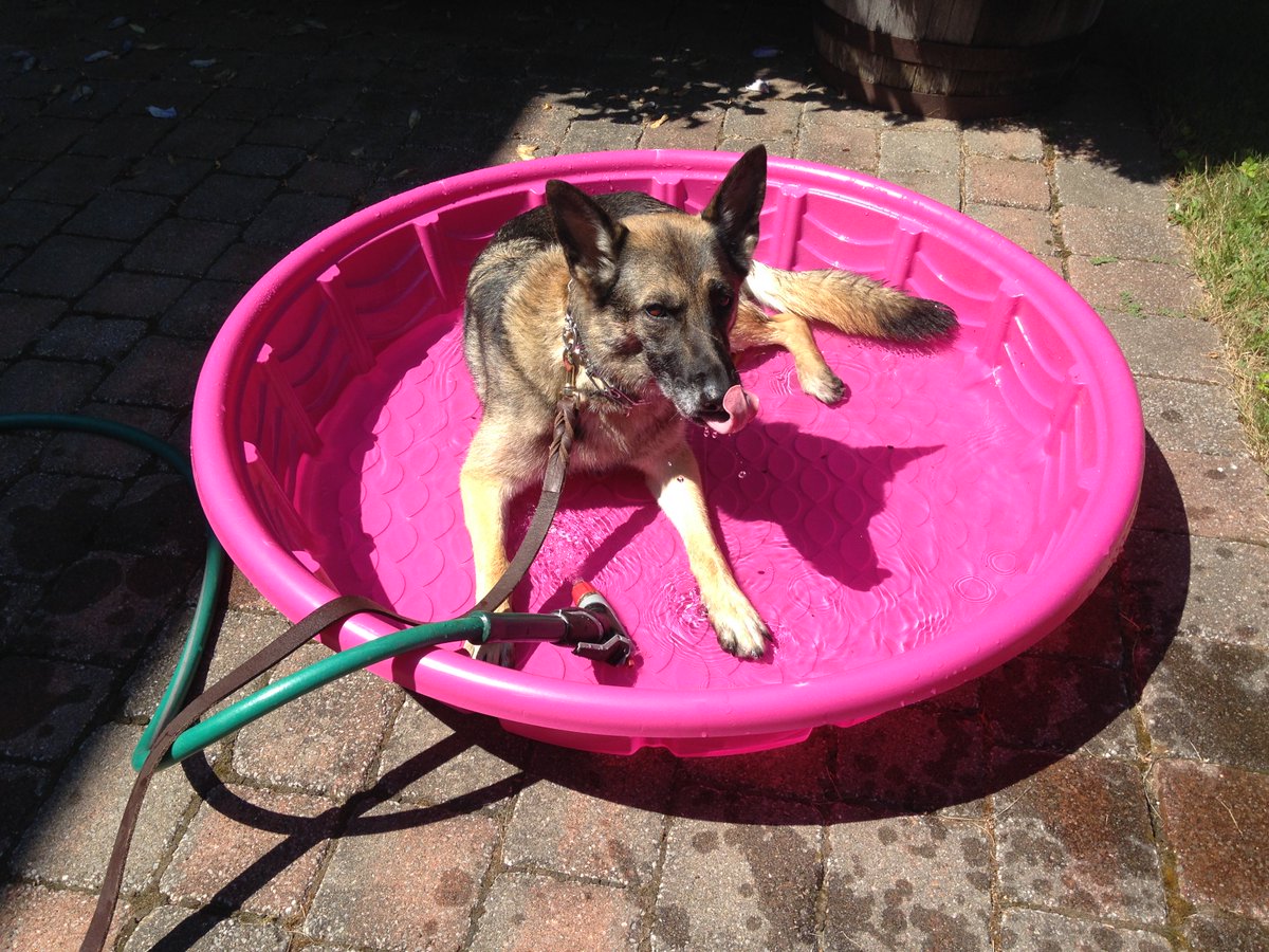 Mia & Layla tweet media