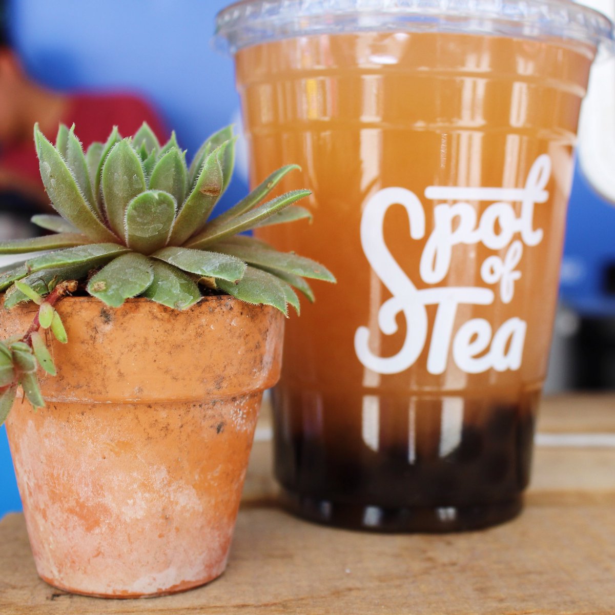 We love all the varie-TEAs of drinks you can make at <a href="/drinkspotoftea/">Spot of Tea</a>!🌵🥥 

#CHoP #farmersmarket #WilsonPlaza #RRBITC