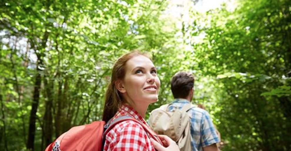 Dr. Mehmet Oz tweet media