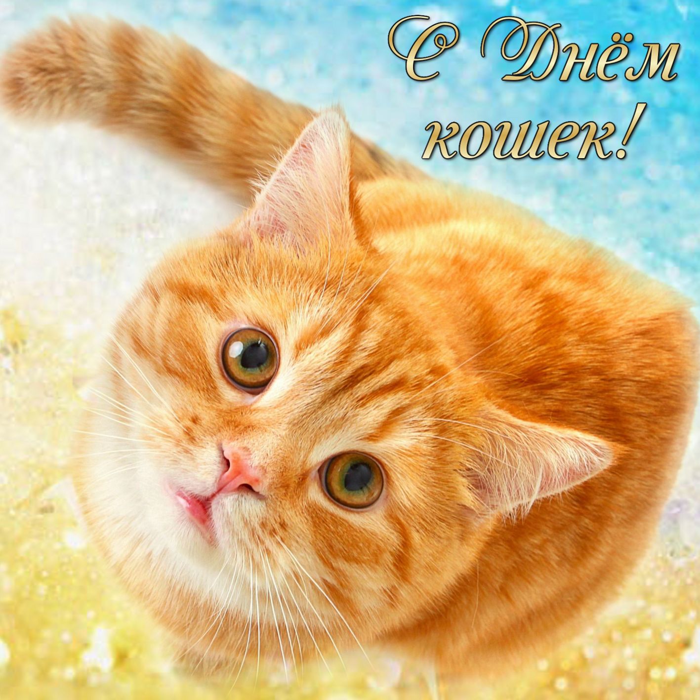 Открытки, всемирный день кошек открытка