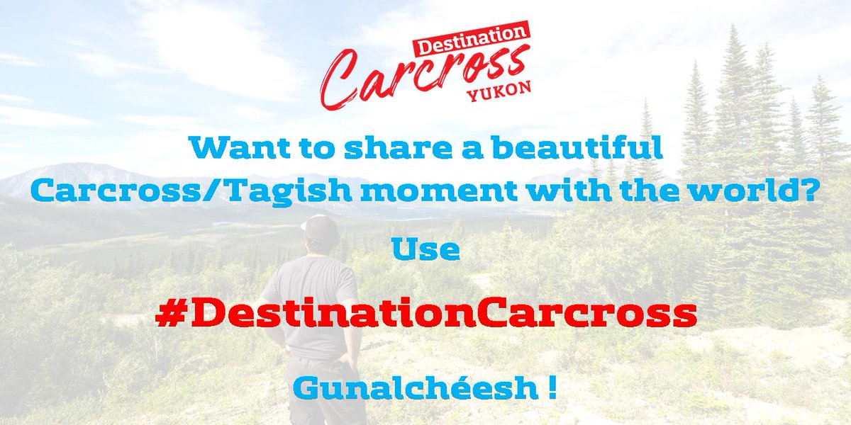 CarcrossCommons's tweet photo. #DestinationCarcross #ExploreYukon #DestinationCanada #FirstNationLand https://t.co/MMG5wH7ge5