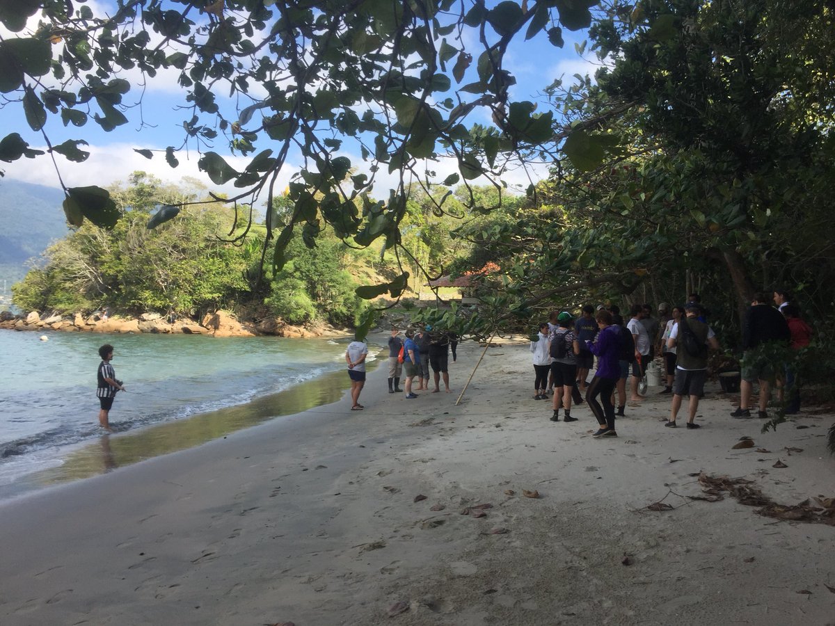 erasmomac's tweet photo. Hoy, práctico “Playas de arena “ 👉Marine Biodiversity Workshop: From the Sea to the Cloud – Pole to Pole MBON of the Americas (P2P) #Cebimar #USP #SaoSebastiao #Brazil #P2P #PoleToPole #SandyBeach https://t.co/LmNxtKKjfF