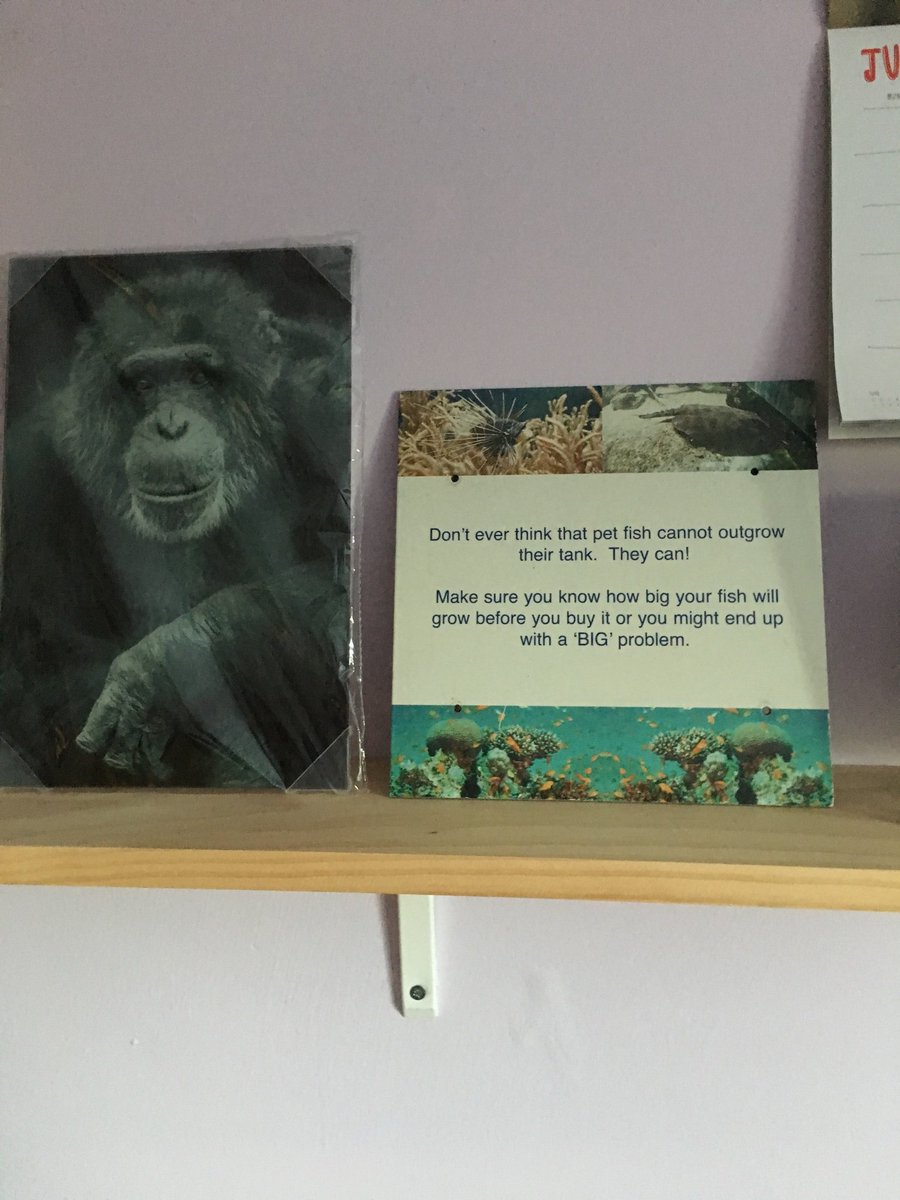 Catherine_I_M's tweet image. Still can’t believe I managed to get one of the Chester Zoo signs in their auction. #thissignismine