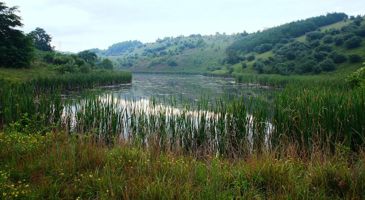 No #mining project is complete until the land has been restored. See our #infographic to find out how #minerals make good neighbors: ow.ly/sjiV30lf3dd