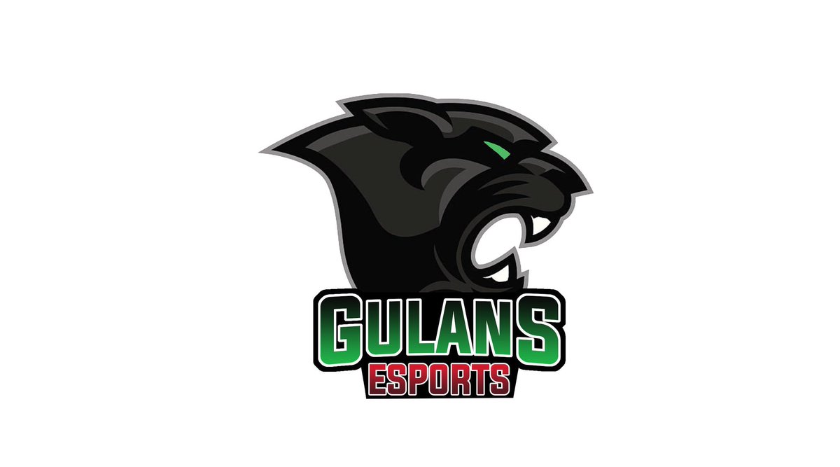 8 equipo de esta liga bienvenidos GuLans eSports suerte 💪🏻