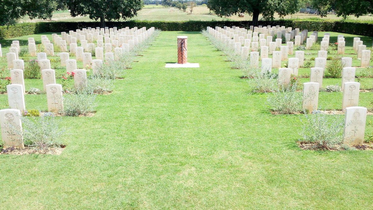 Nord_albert's tweet photo. Caryopteris clandonensis as a terminal plant in @CWGC  Foiano della Chiana war cemetery. https://t.co/p04PRuWpaw