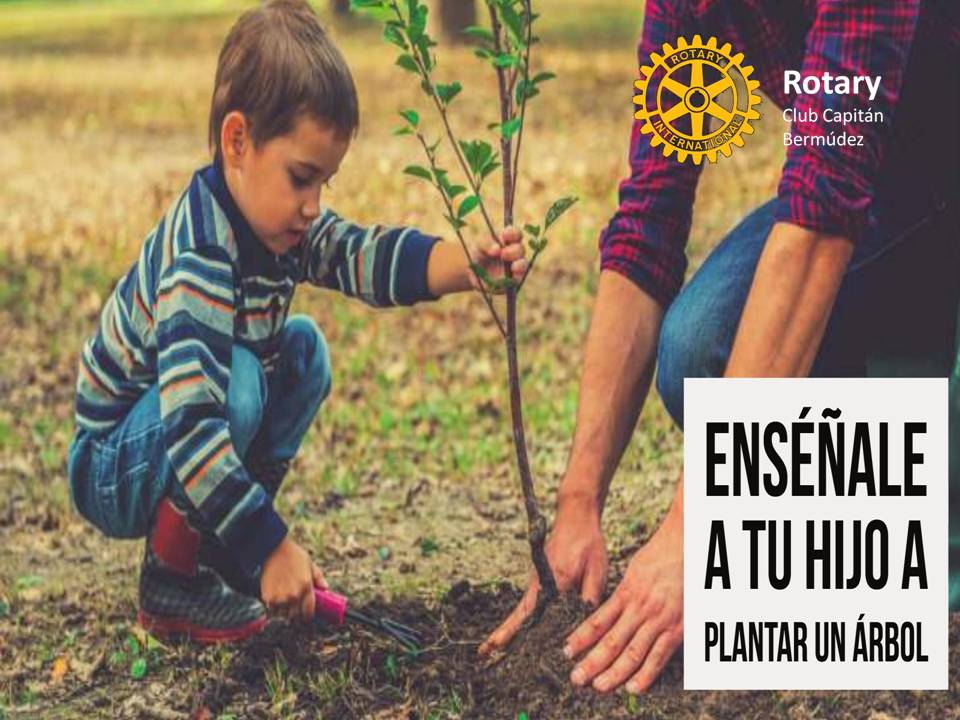 CapitanRotary's tweet image. Plantar un árbol con los niños, no es sólo un símbolo, es realmente una gran empresa: una semilla, un árbol, una flor, un fruto, una gran sombra, aire puro y limpio, la belleza inigualable del paisaje. #rotarycapitanbermudez