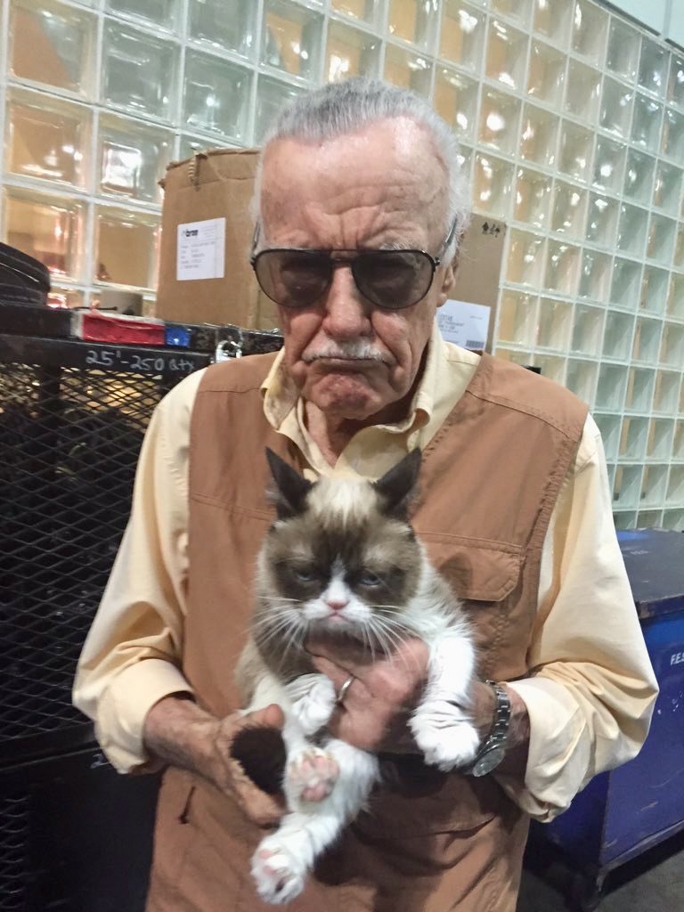 So it's #InternationalCatDay? These two are clearly stoked. (#WayBackWednesday to Comikaze 2015.)