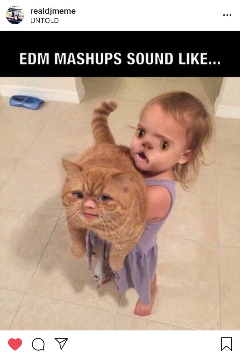 borisroodbwoy's tweet image. Loving this hahah
#edm #UNTOLDfestival #Untold2018 #Tomorrowland #meme #dj