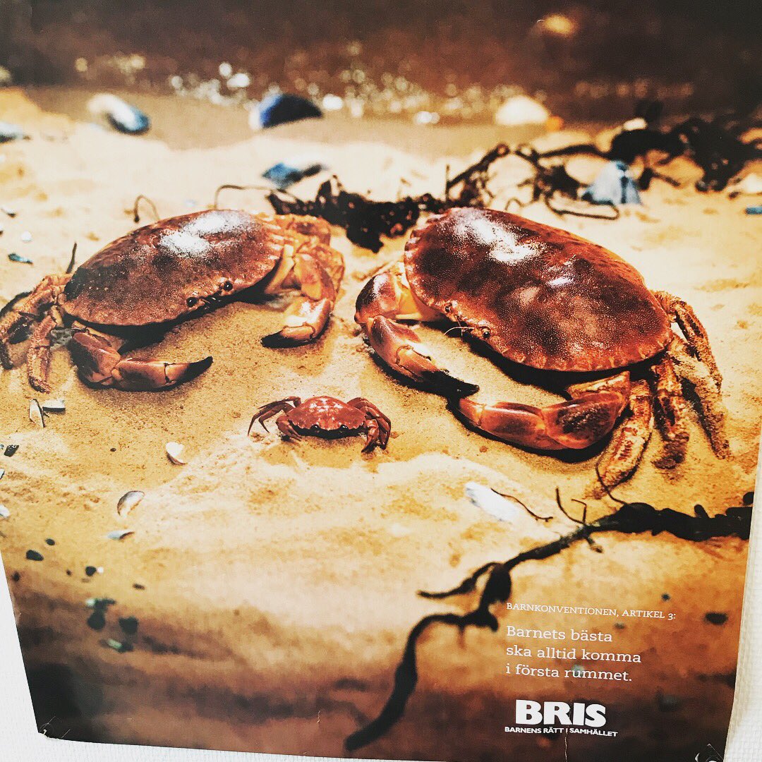 kuratorGunnel's tweet photo. Snygga affischer på mitt nya kontor. #BRIS #Barnkonventionen #FNsbarnkonvention #affischer #skolkurator #kurator https://t.co/nM1KTKXpC1