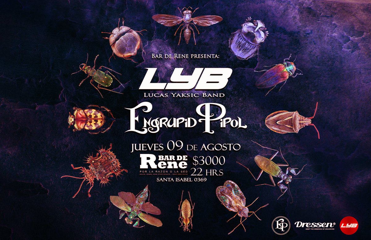 Mañana Jueves 07 de Agosto emocionante tocata en el mítico@BardeReneOficia 
@lucasyaksicband junto a tus regalones <a href="/engrupid_pipol/">Engrupid Pipol</a> !!!
Solo a 3 luquitas !!
#tocatasantiago #engrupidlifestyle #tocata #rockchileno #metalprogressivo #instrumental #barderene