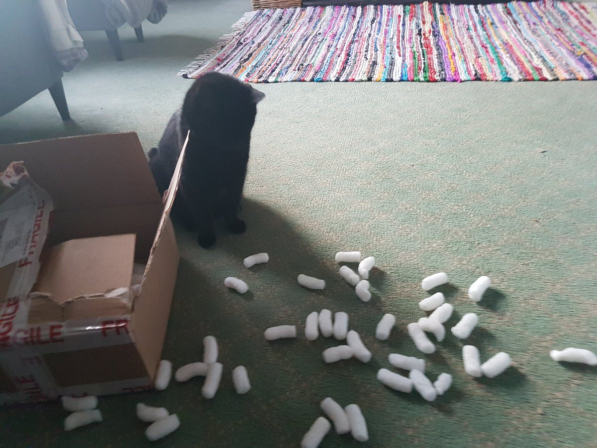 truefunkygibbon's tweet image. "It wasn't me, I just found it like this." #30second