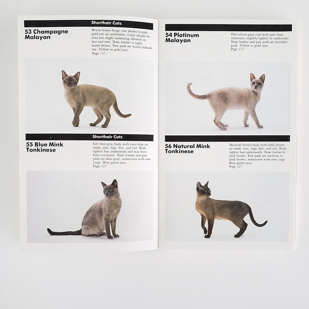 What better time to reflect on the 80s than on #Internationalcatday! Harper's Illust. Handbook of #Cats, #design by #Vignelli, 1985. #everybreed #Archvies80s #ArchivesHashtagParty #designarchives #bookdesign More: bit.ly/2nlwTcz