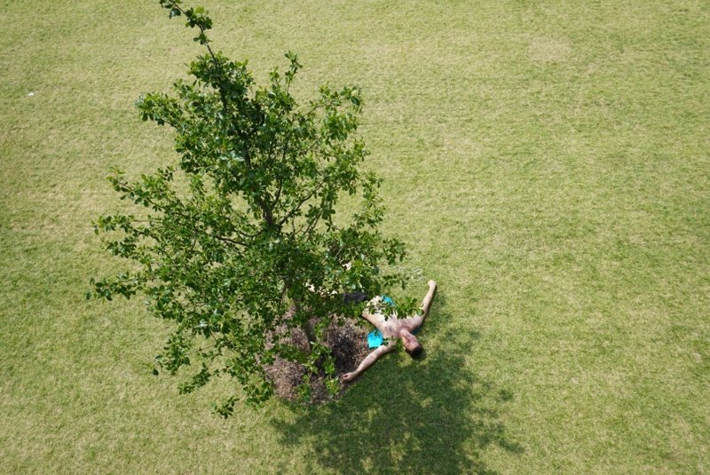 Project for Public Spaces tweet media