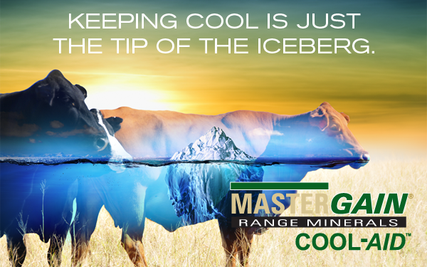 ag_producers's tweet photo. MasterGain® Cool-Aid™ Beef Range Minerals helps you manage cattle stress for more comfortable, efficient cattle. https://t.co/G0URlrl1sF https://t.co/V3Zmupolr5
