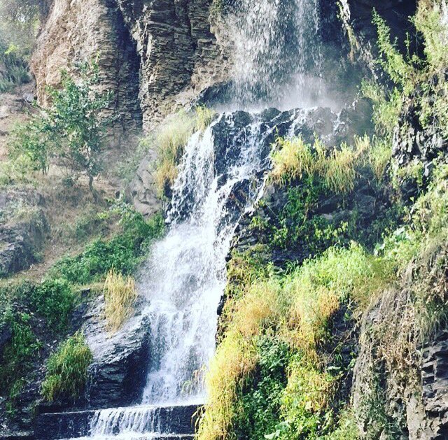 #شارك_بصوره_صورتها استمر؟؟؟ تصوير فون هذا ما كاميرا 🤦🏻‍♀️