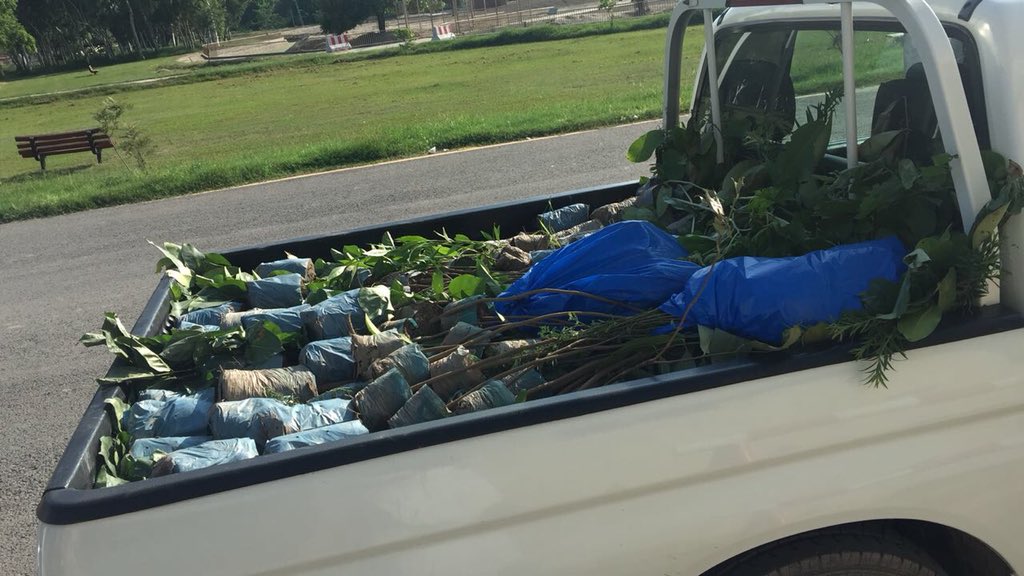shakilchowdhry's tweet photo. #Green #Lahore #Punjab #Pakistan #August getting ready, pretty excited , loam and plants reached at the site @mdvisionpvtltd #MDVision #plants #Safari https://t.co/xpJiRgEYwy