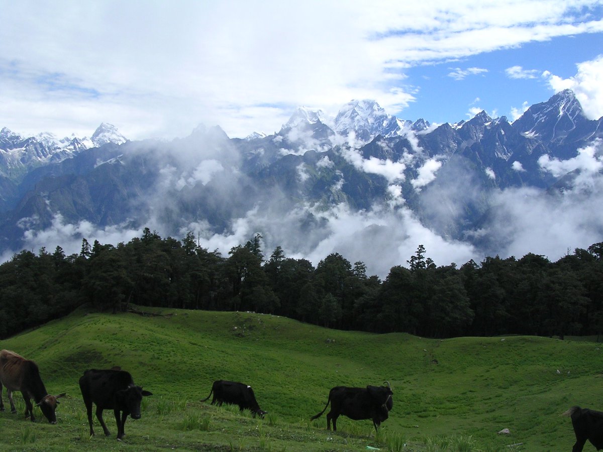 A5: Beautiful valleys of Himalaya --#visitAuli #VisitUttarachal #IncredibleIndia #visitindia <a href="/_indiatourism/">India Tourism</a> #TWChats #twchats