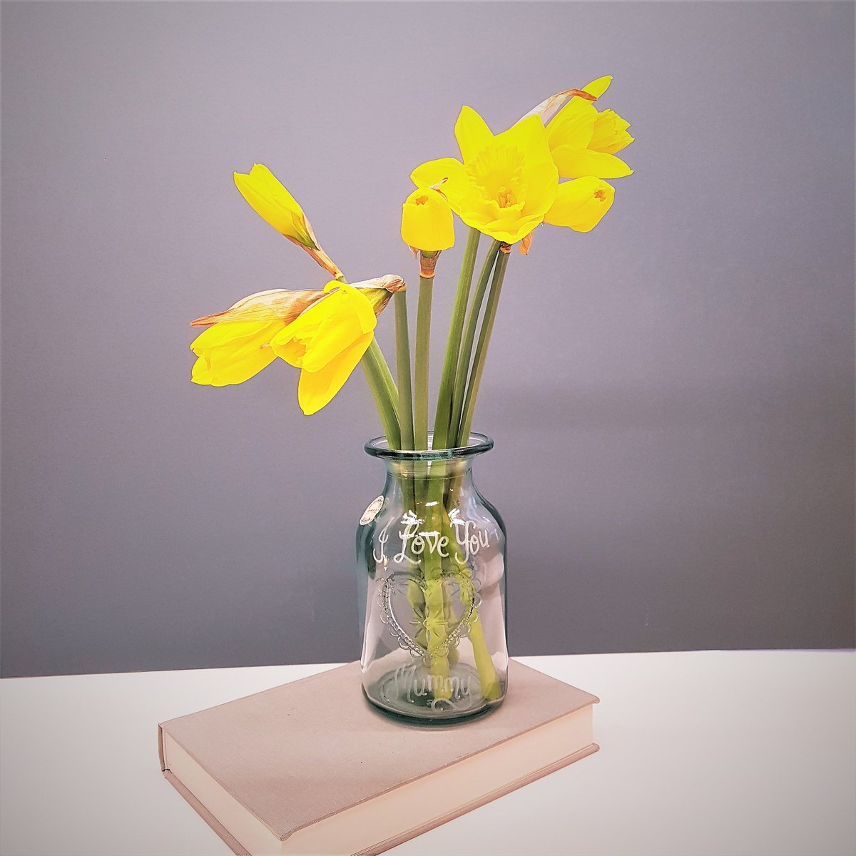 Cottagechicgift Hashtag On Twitter