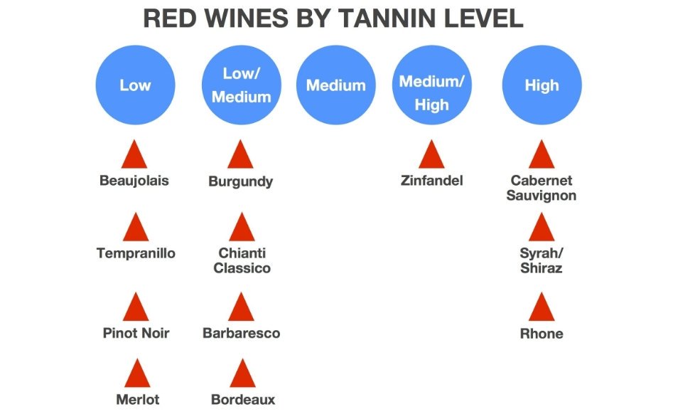 HadMerlot's tweet image. Rule of thumb for serving #wine is, chilled for white and room temp for red. However, because tannins taste more bitter when cold, it's the tannicity which determines a wine's proper serving temp. So lighter reds like #pinot should be served a bit cooler than ones like #cabernet.