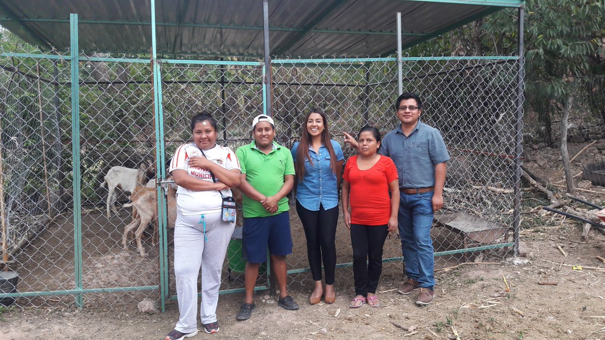 so_salas's tweet photo. Visita de verificación de avance físico a proyecto de producción primaria emprendido por jóvenes de #Mochitlán gracias a @SAGARPA_mx componente #Arráigate
@incarural https://t.co/2ekiXJdVpu