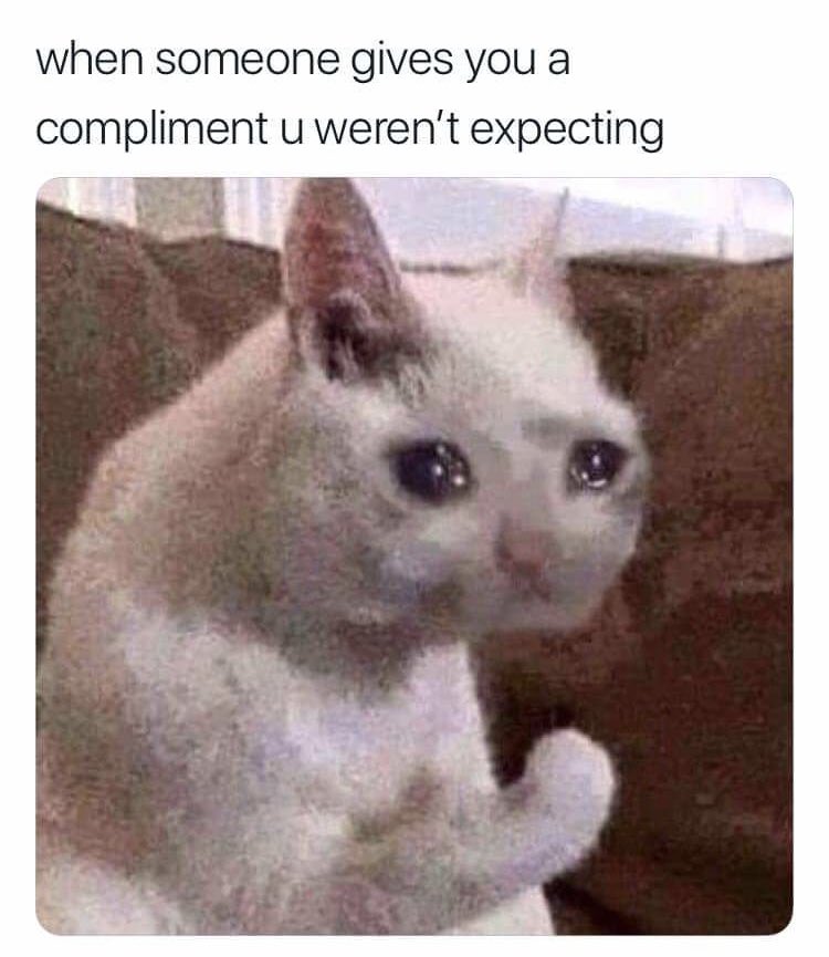 RespectfulMemes's tweet image. 