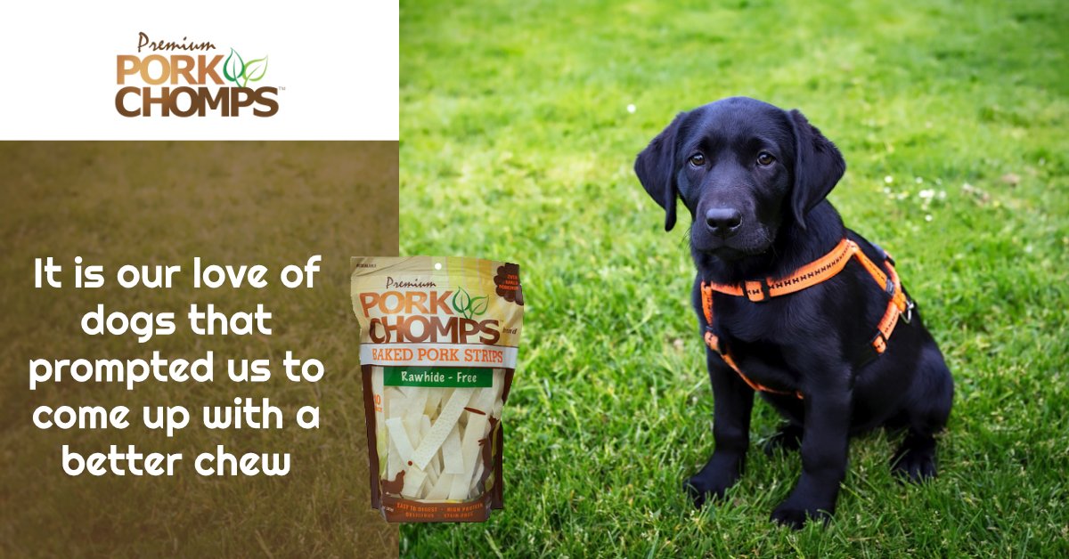 PorkChomps's tweet photo. It is our love of dogs that prompted us to come up with a safer chew that is free of potential issues that rawhide chews present. Learn more on why we’re the right choice! https://t.co/zlZemo3pgW https://t.co/RL1nd5BOUK