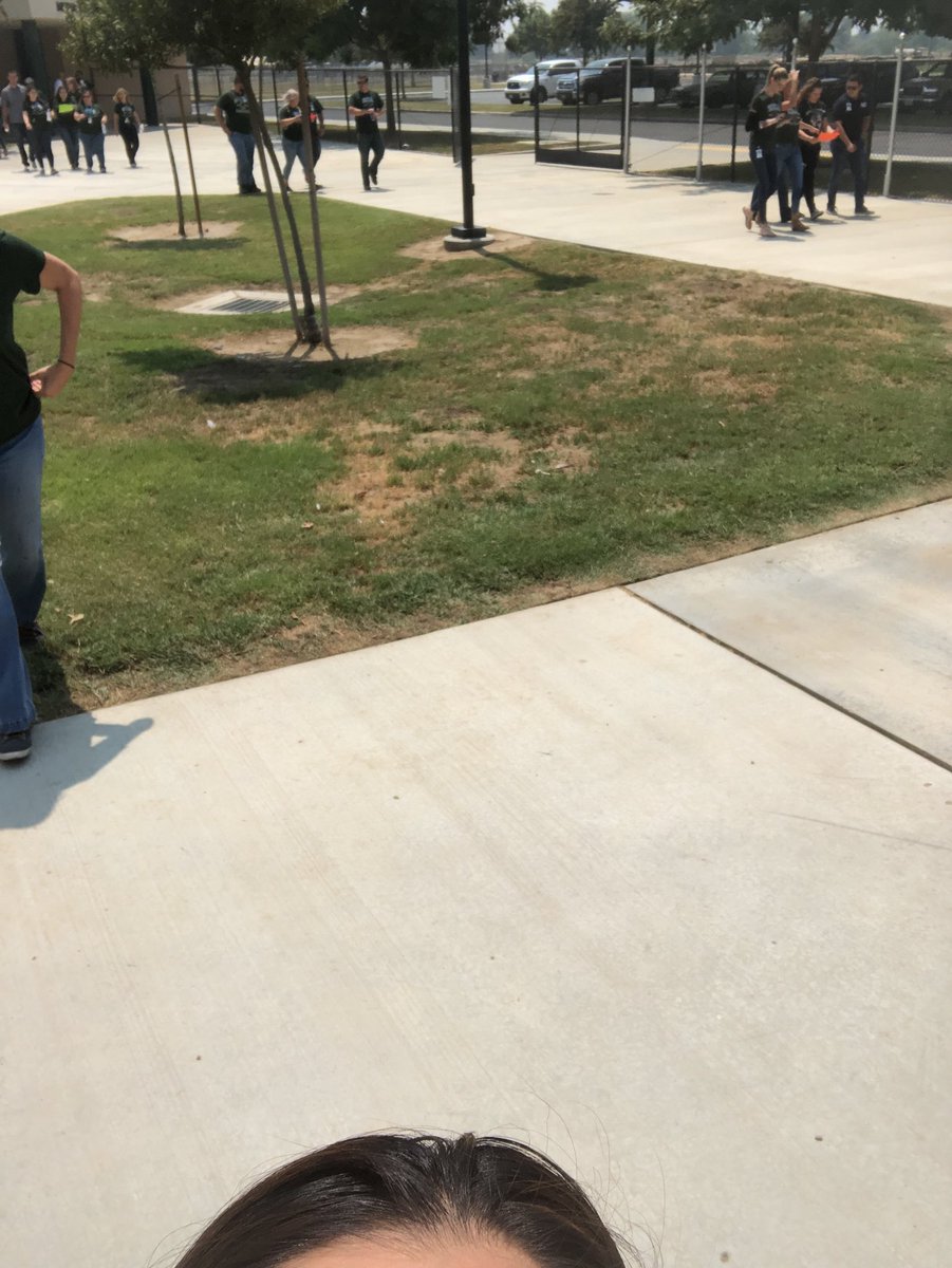 FerrFerrScience's tweet image. #sccabears game on!!