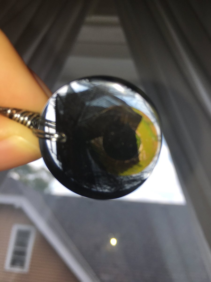 JessicaMLester1 tweet picture