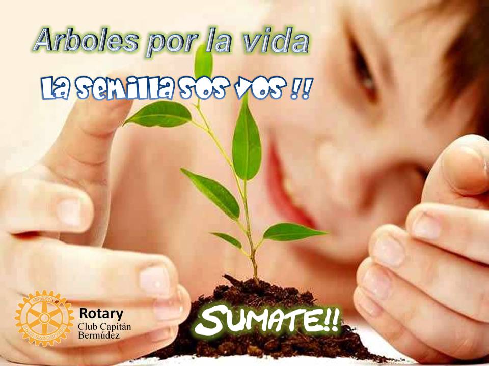 CapitanRotary's tweet image. Sumate a nuestros Grupos de Fomento de Rotary Club Capitán Bermúdez, y se parte de los proyectos.... Unite!!!... En Rotary trabajamos por los demás!!!   #rotarycapitanbermudez