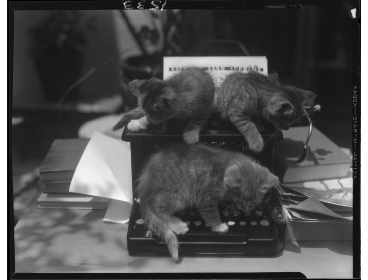 Calisphere tweet media