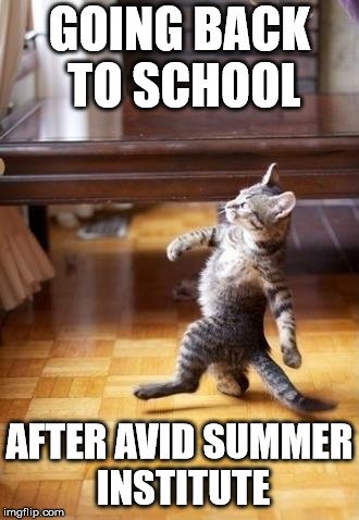 AVID4College's tweet photo. Happy #InternationalCatDay from all of us at AVID! This is an accurate representation of our educators returning to school! #ThisIsAVID #EdChat https://t.co/ncUysApEsY