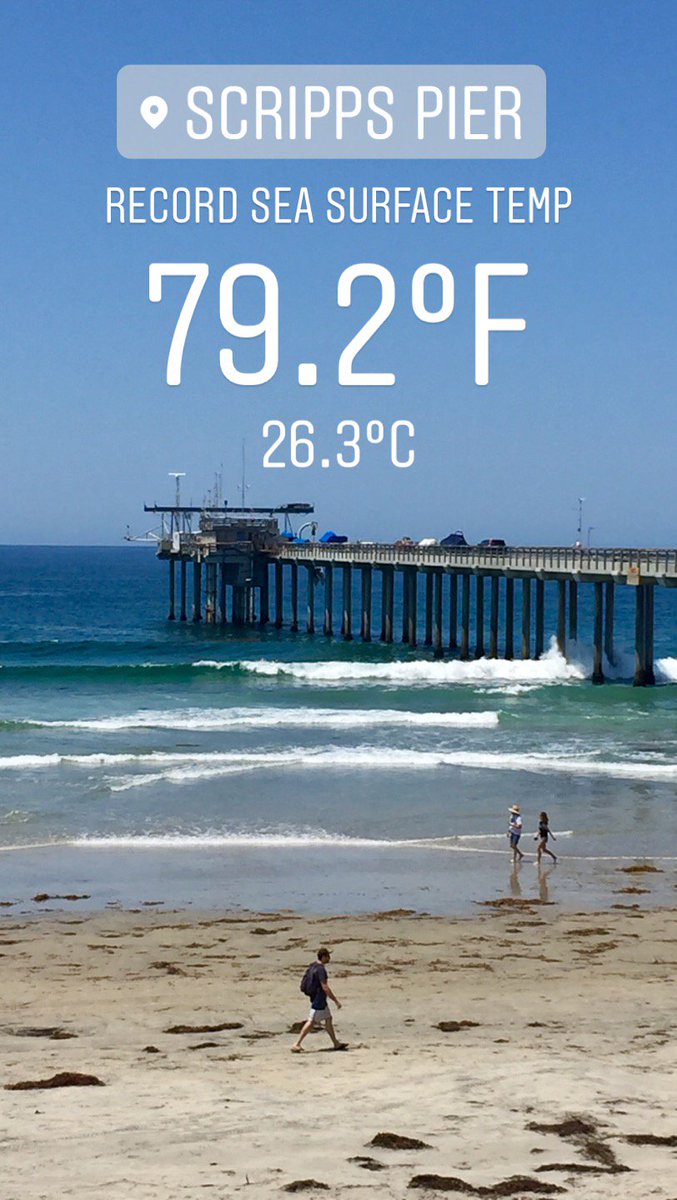 Another sea-surface temperature record was broken today, August 8. Scripps scientists with @shoresta100 measured a water temp of 79.2°F (26.3°C) at the end of Scripps Pier.