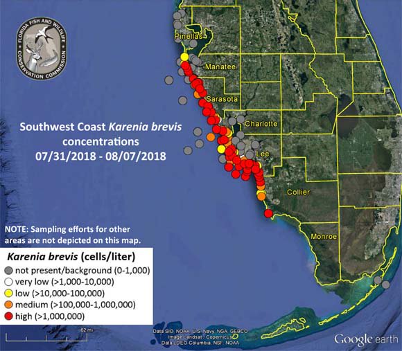 Florida Red Tide Map New Map Shows Red Tide Problems Worsening Along Florida's Coast | Wtsp.com