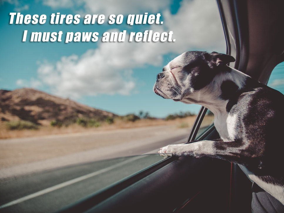 VulcanTire's tweet photo. #WednesdayWisdom  #VulcanTire https://t.co/Gb2itIXkem