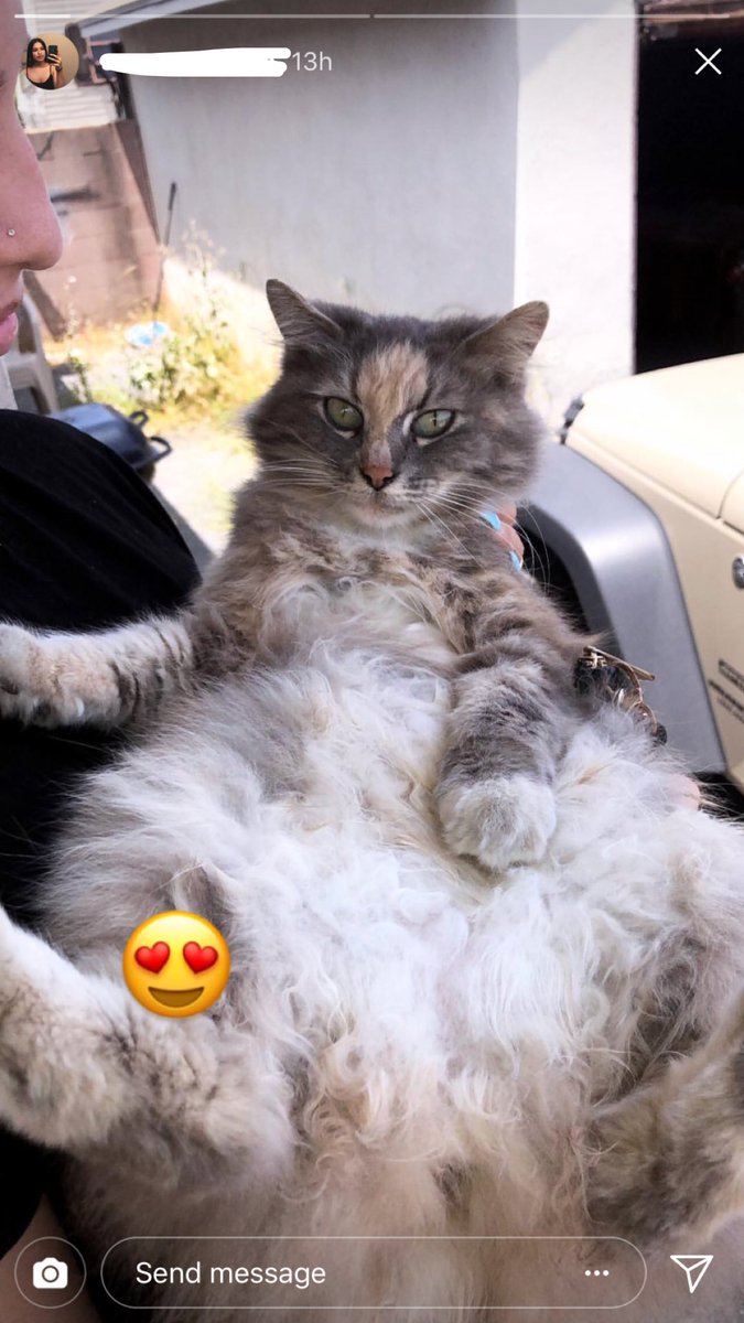 Kissedbyriss's tweet image. Happy #InternationalCatDay my bitch faaaaaa life since put the womb! #Smokëë 💎❤️