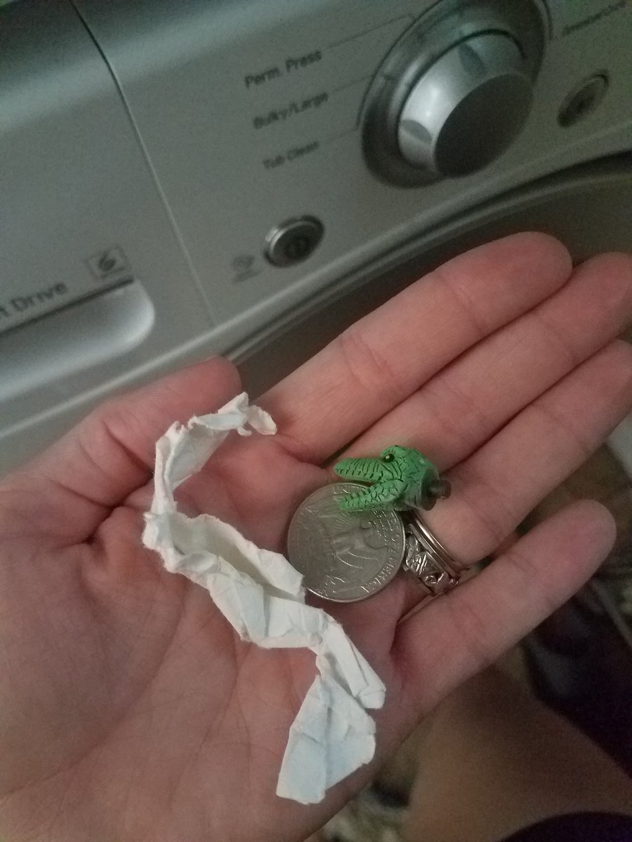 CaitSummmsss's tweet photo. Just a few things I found in the dryer yesterday 🐊 https://t.co/4DuAGIJLxX