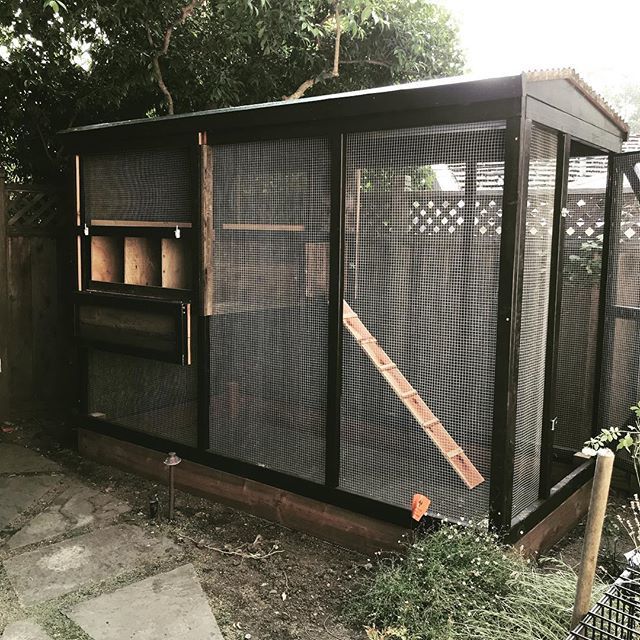 PaulRarePoultry's tweet photo. #urbangardencoop #coop #coops #customized #customcoops https://t.co/g29r5xIhfI