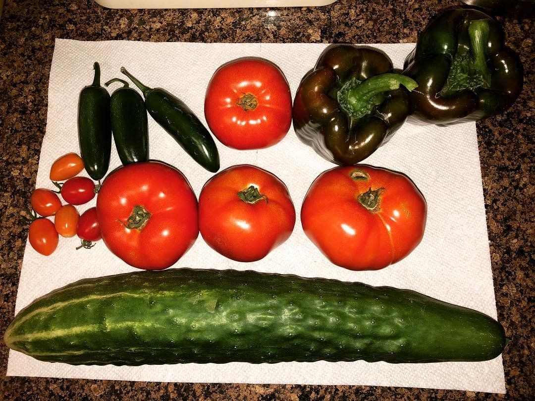 My first garden harvest! Minus a few strawberries here and there. #garden #veggies