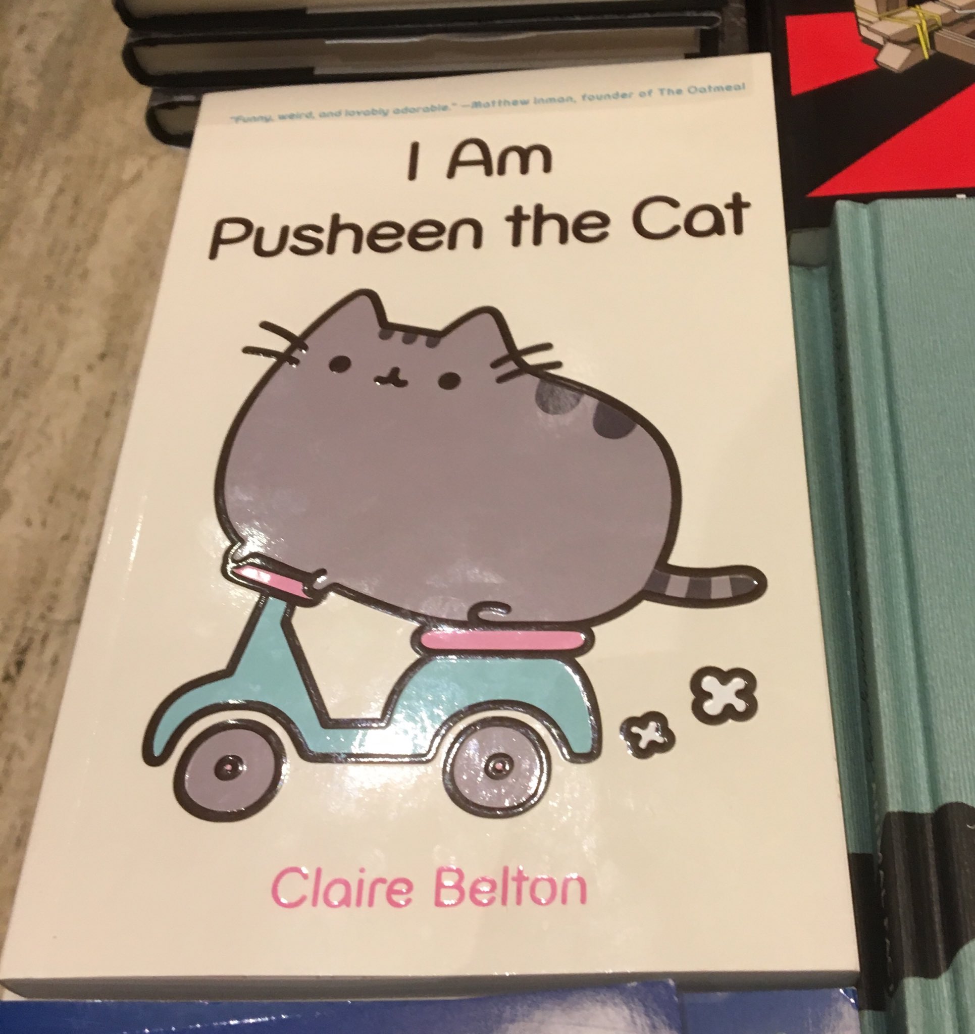 Jun Akiba こちらはまだ 世界猫の日 なので アメリカで流行っているという すみっコぐらしに似たネコのキャラクター 今日 本屋で現地の女子学生っぽい二人がキャーかわいい みたいに興奮してた かわいいという感情の表に出し方もグローバル化している