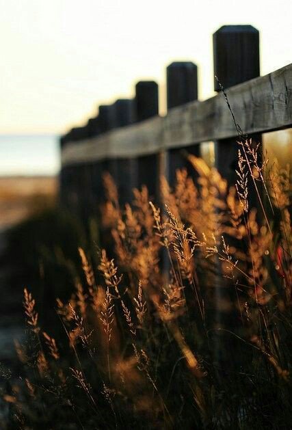 seaw050513's tweet photo. I think a part of me
will always be waiting for you.
ฉันคิดว่าส่วนหนึ่งของฉัน
ก็คงจะยังเฝ้ารอเธออยู่เสมอ.
#แคปชั่น #แคปชั่นเศร้า #แคปชั่นเด็ด #แคปชั่นเสี่ยว #แคปชั่นโดนๆ #แคปชั่นความรู้สึก #แคปชั่นความรัก #แคปชั่นเพ้อ #แคปชั่นภาษาอังกฤษ #ติดตามเจ้าเสี่ยว #แคปตัดพ้อ #แคปชั่น2018 https://t.co/thhCMO5fQ1